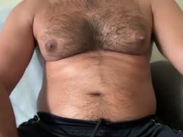 huge_moth