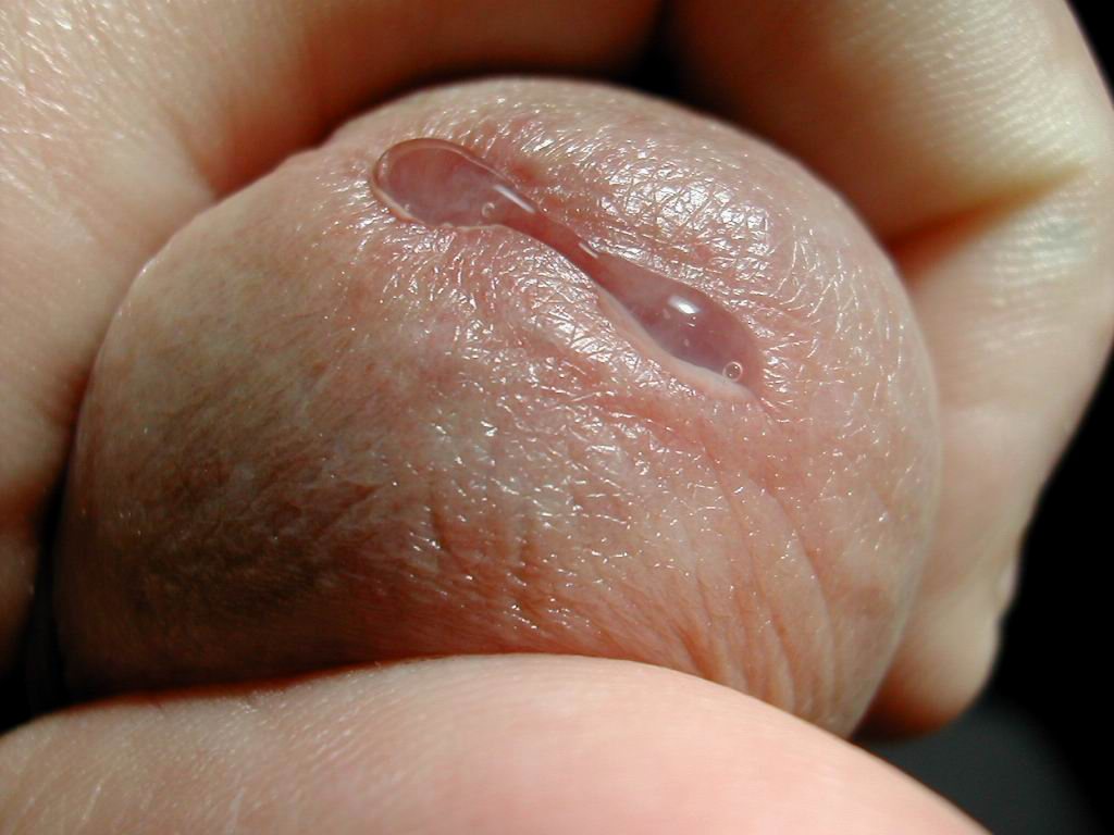 Bisexual and TS/TV — 16