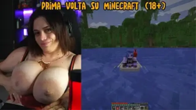 First time on Minecraft